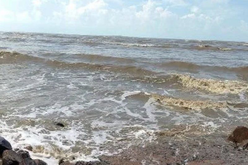 Chandipur Beach: Visitor Guide