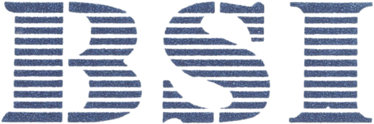 Business Systems Incorporate