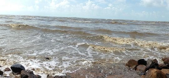 Chandipur Beach in Odisha: Where Tides Reveal a Hidden Gem