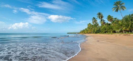 A Guide to the Top Beaches of Odisha
