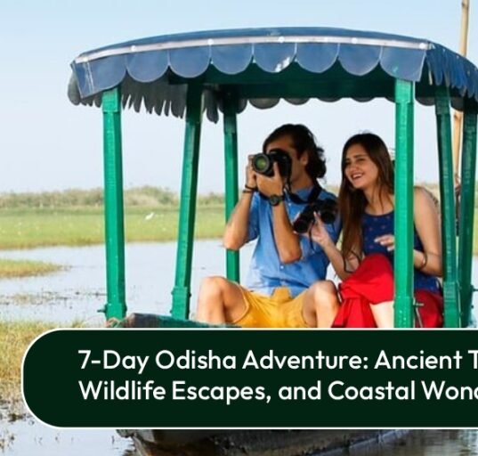 Car Rental in Bhubaneswar with Driver Ultimate 7-Day Odisha Tour