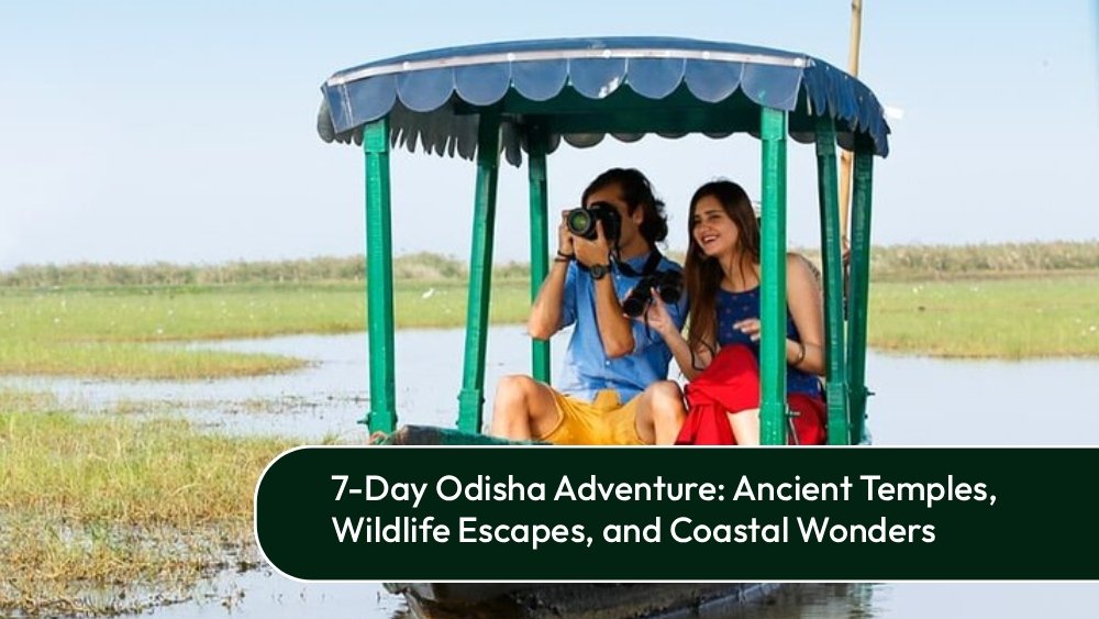Car Rental in Bhubaneswar with Driver Ultimate 7-Day Odisha Tour